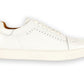 Boston White