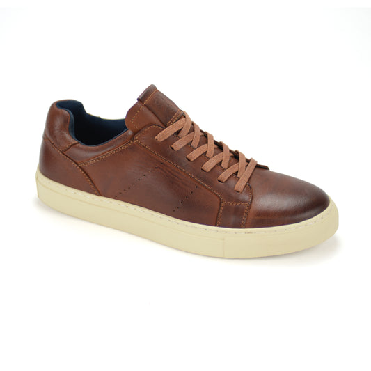 Bronx Tan