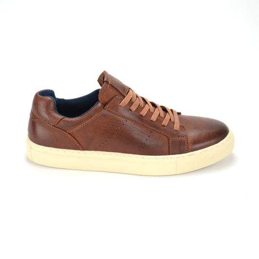 Bronx Tan