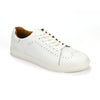 Boston White