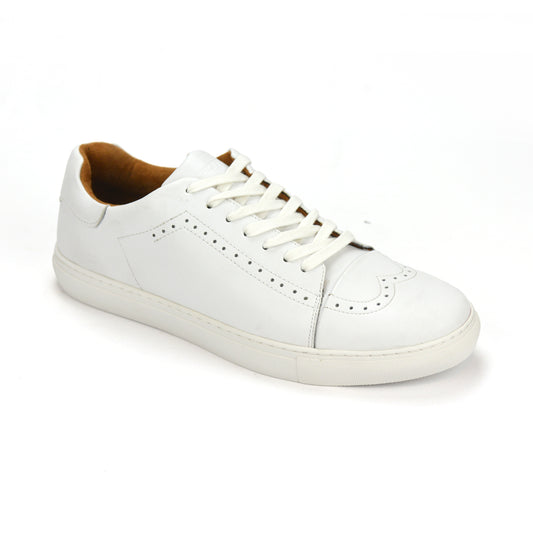 Boston White